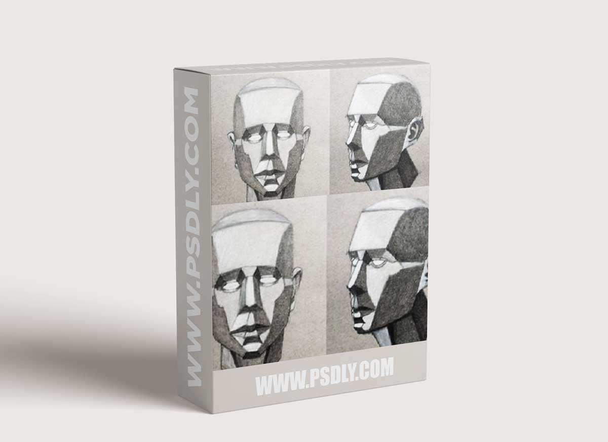 Portrait Drawing The Smart Way - The Planes of the Face