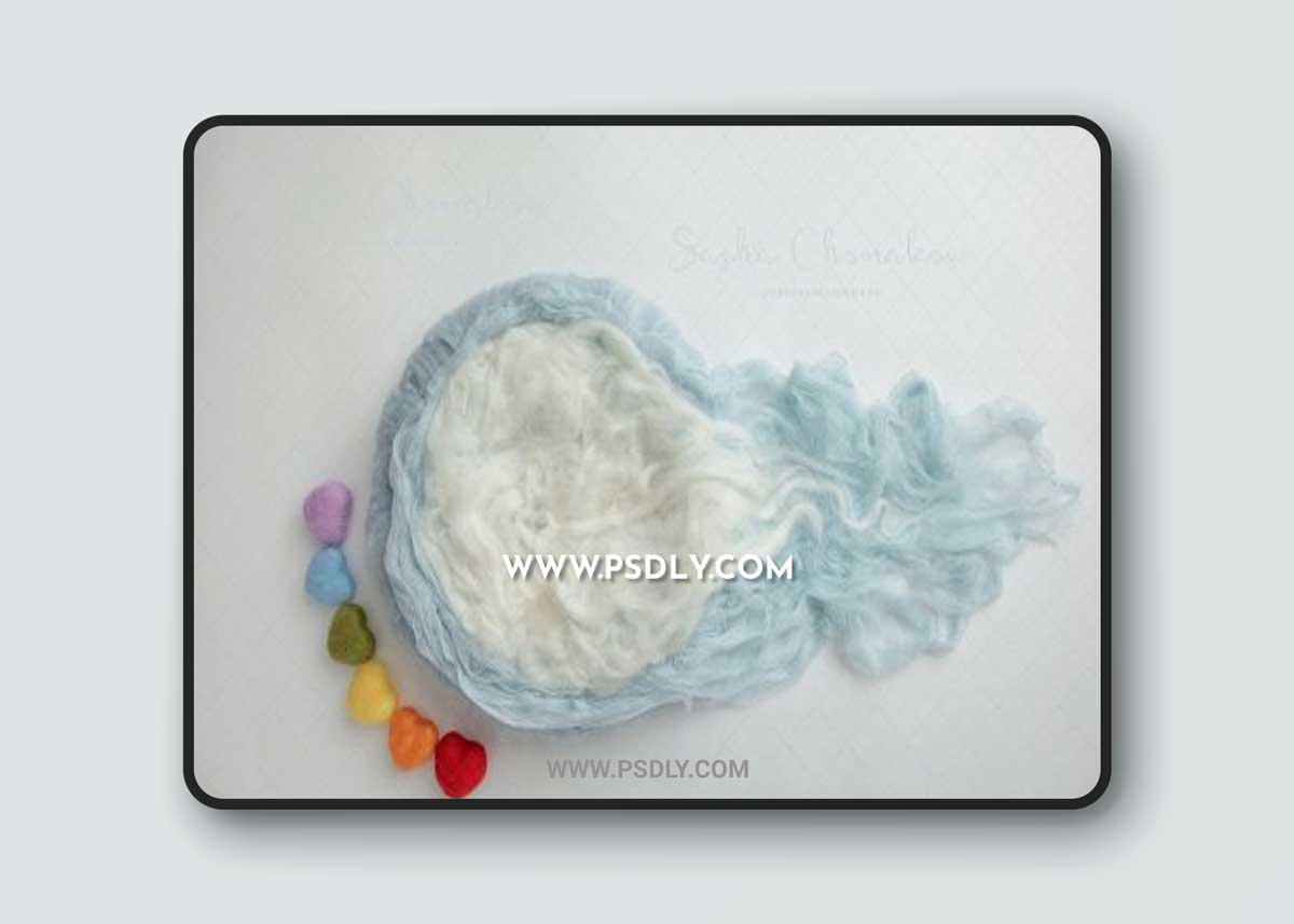 Sasha Chomakov - Newborn Digital Backdrop - Blue