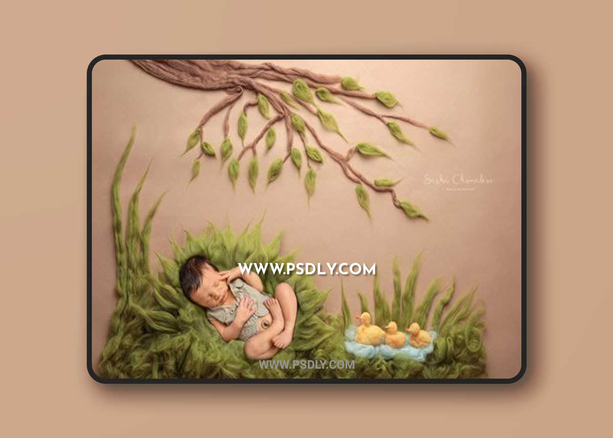 Sasha Chomakov - Newborn Digital Backdrop - Ducks