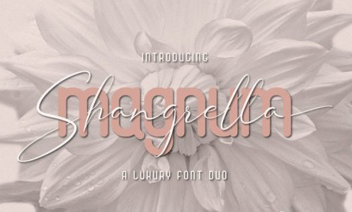 Magnum Shangrella Duo