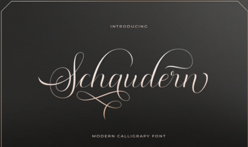 Schaudern Script