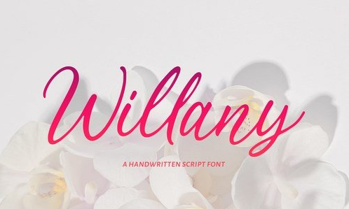Handwritten Script - Willany Signature
