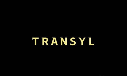 TRANSYL - Elegant Display Typeface 3980453