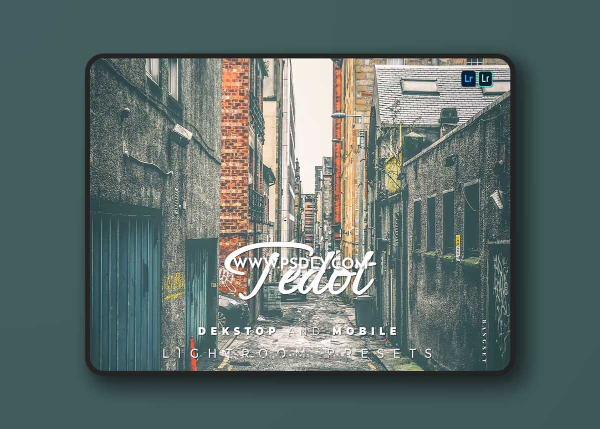 Tedot Desktop and Mobile Lightroom Preset