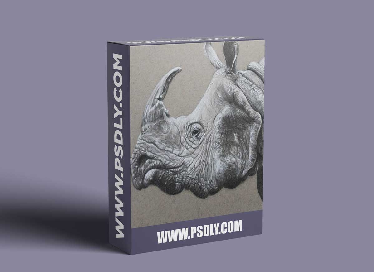 The Virtual Instructor - Rhino with Graphite and White Charcoal