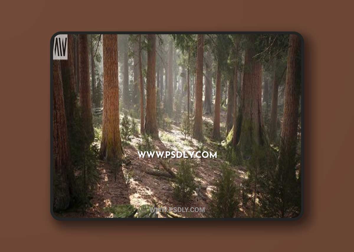 Unreal Engine – MW Mountain Redwood Trees Forest Biome