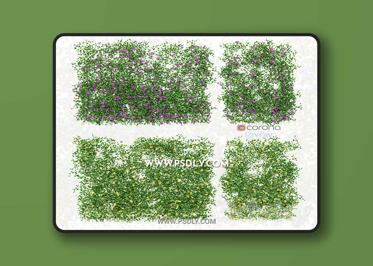 Wall of flowers on the grid 3D Model
