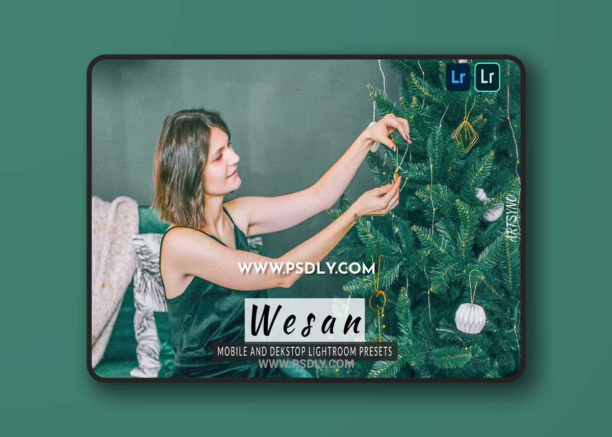 Wesan Lightroom Presets Dekstop and Mobile