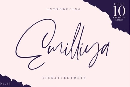 Emilliya - Luxury Signature Font 415795