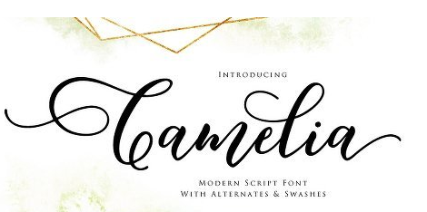 Camelia Script Font Family - 2 Fonts