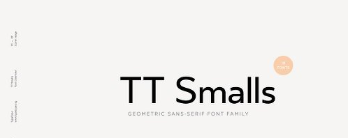 TT Smalls Font Family - 18 Fonts