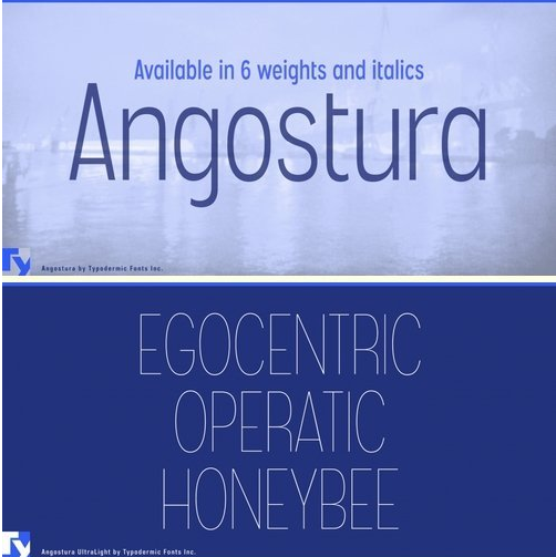 Angostura Font Family - 17 Fonts
