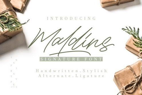 Maldins - Stylish Signature Font 3885328