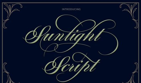 Sunlight Script Font Family - 3 Fonts