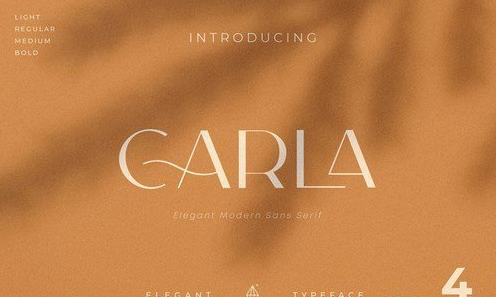 Carla Sans - Elegant Typeface 4755791