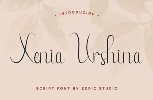 Fontbundles - Xenia Urshina Font 530990