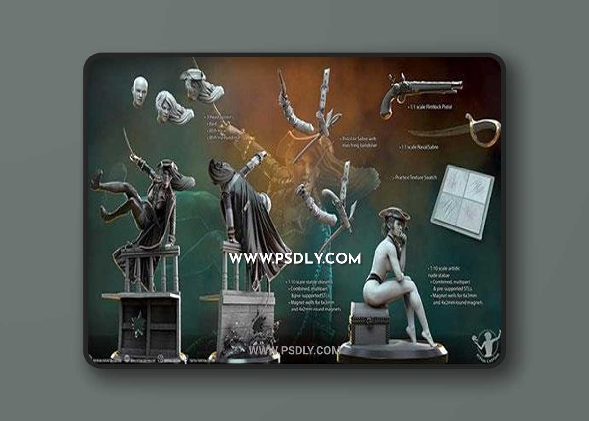 3D Print Models Anne Bonny 3D Model