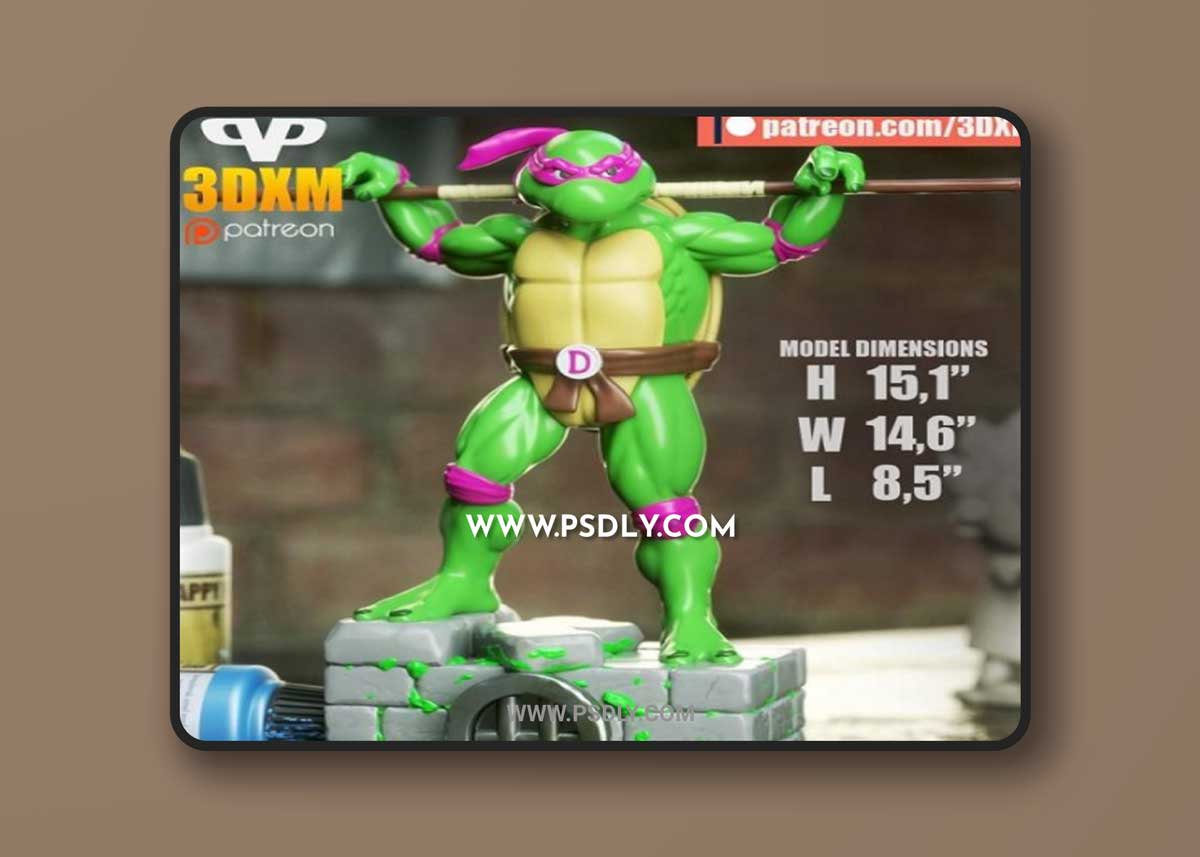 3DXM - TMNT Donatello 3D Model