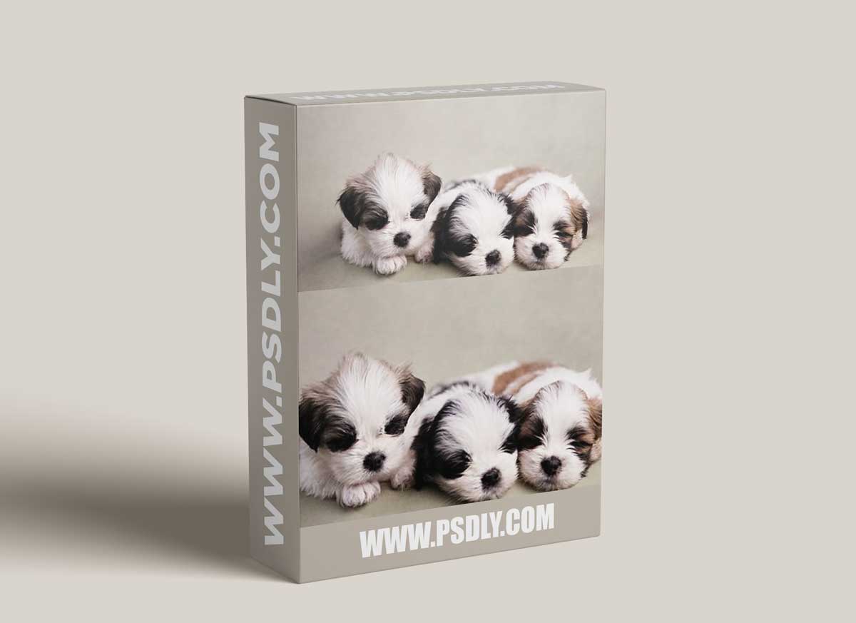 CreativeLive - Posing For Puppies by Kelly Brown, Jade Schofield