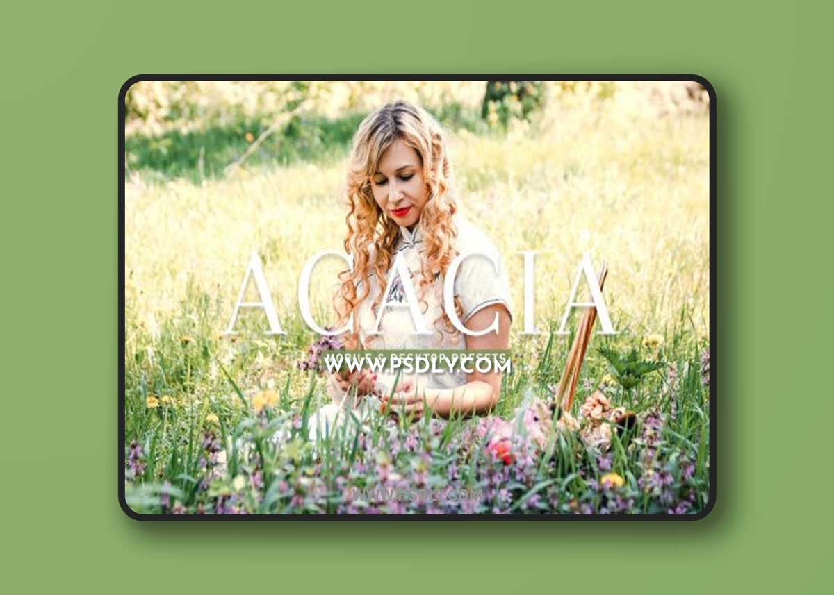 CreativeMarket - Acacia Pro Lightroom Presets 6925557