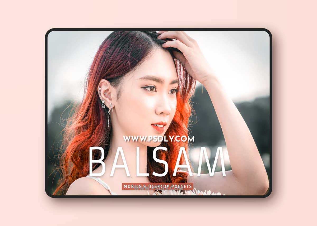 CreativeMarket - Balsam Pro Lightroom Presets 7003213