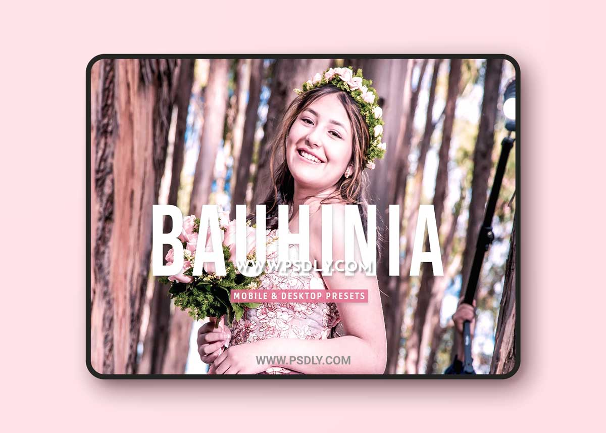 CreativeMarket - Bauhinia Pro Lightroom Presets 7003225