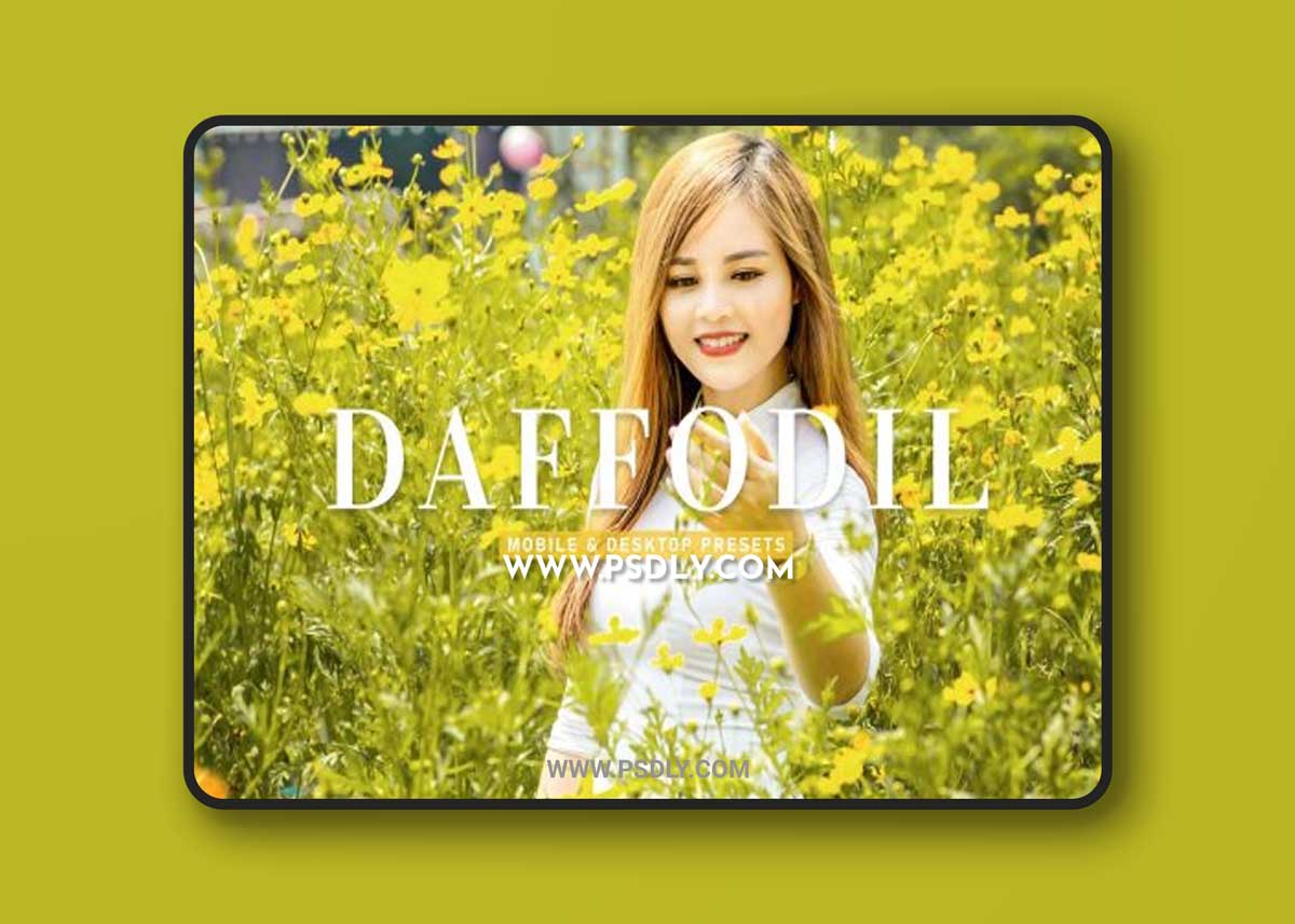 CreativeMarket - Daffodil Pro Lightroom Presets 6929650