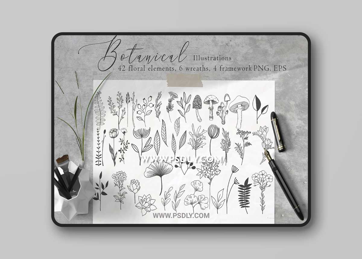 CreativeMarket - Floral Botanical Illustrations 4479176