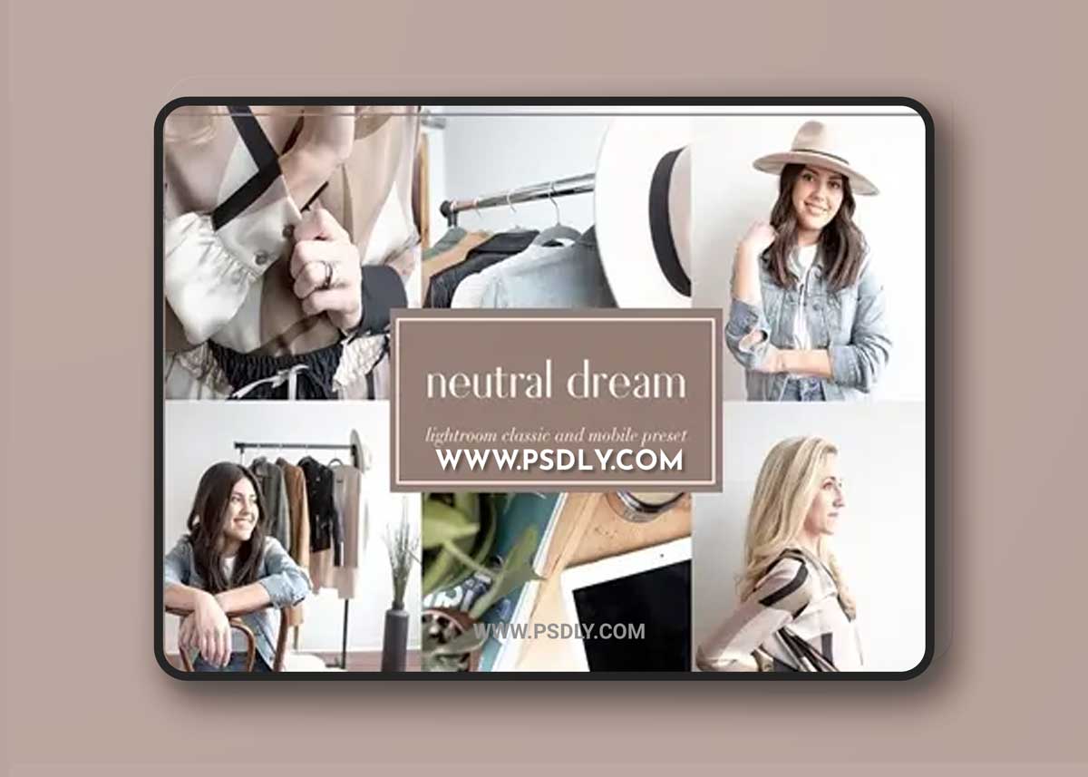 CreativeMarket - Neutral dream lightroom preset 3651332