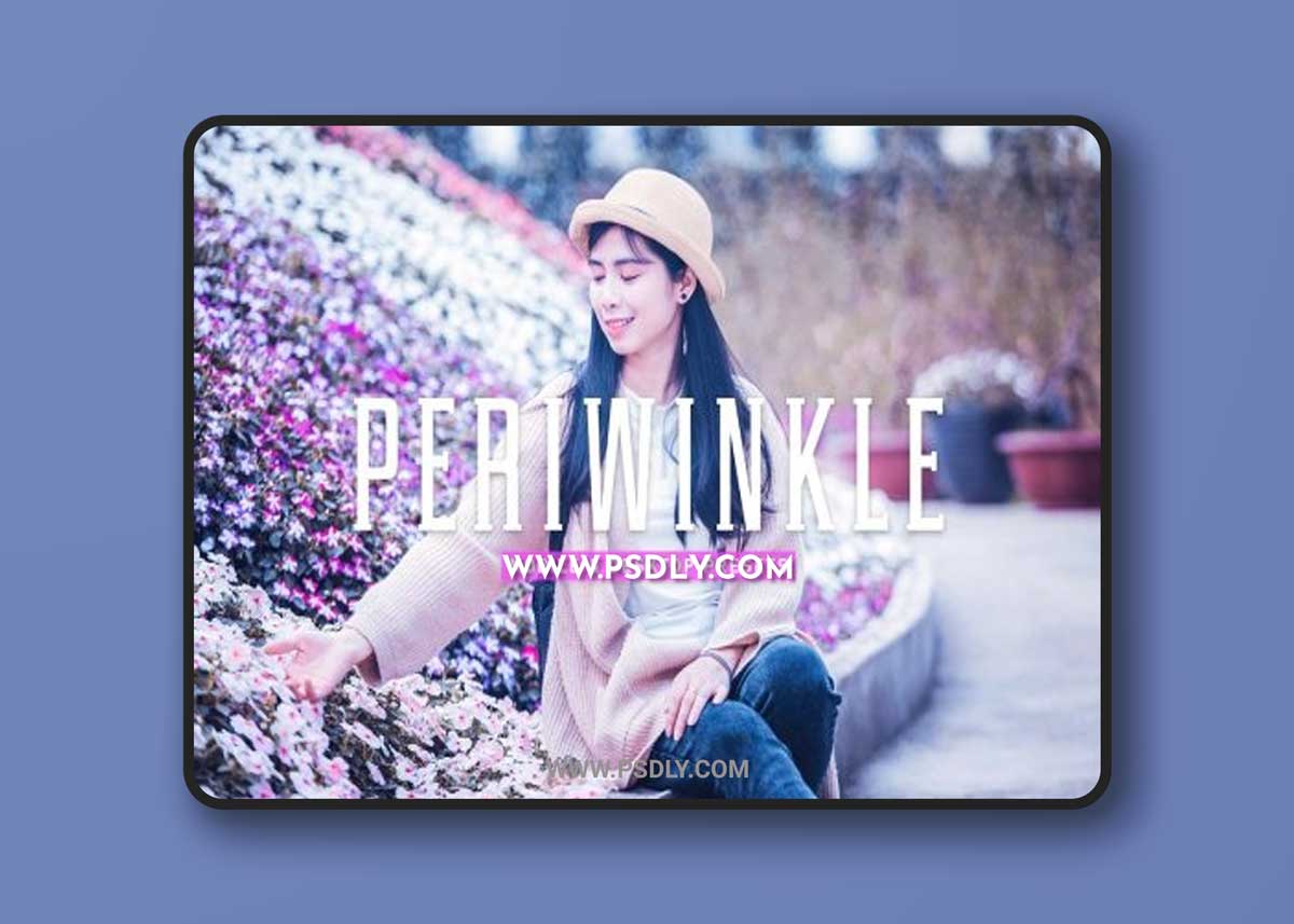 CreativeMarket - Periwinkle Pro Lightroom Presets V2 6924903