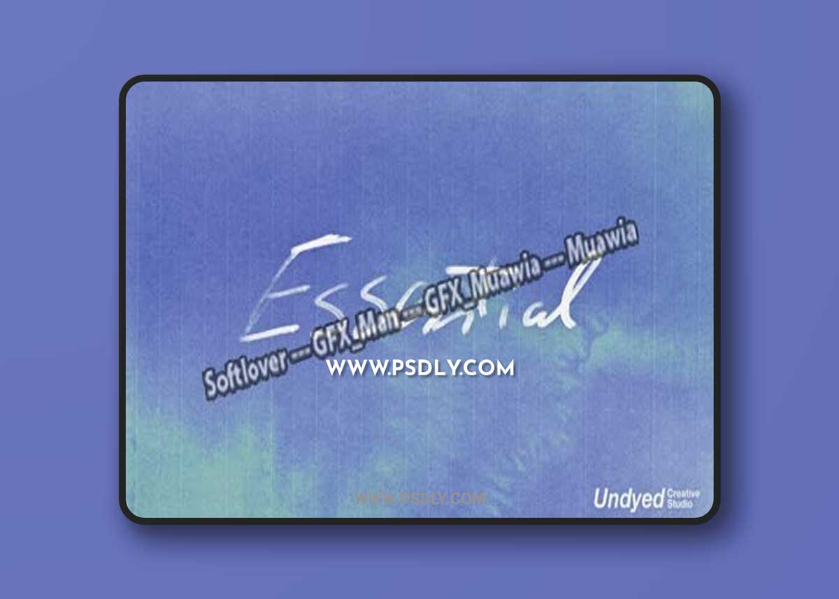 Graphic Designer Ultimate Pack - High Quality Assets