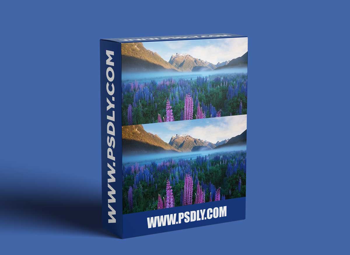 Landscape Photography Tutorials - Into The Light - 'Forest Episode'