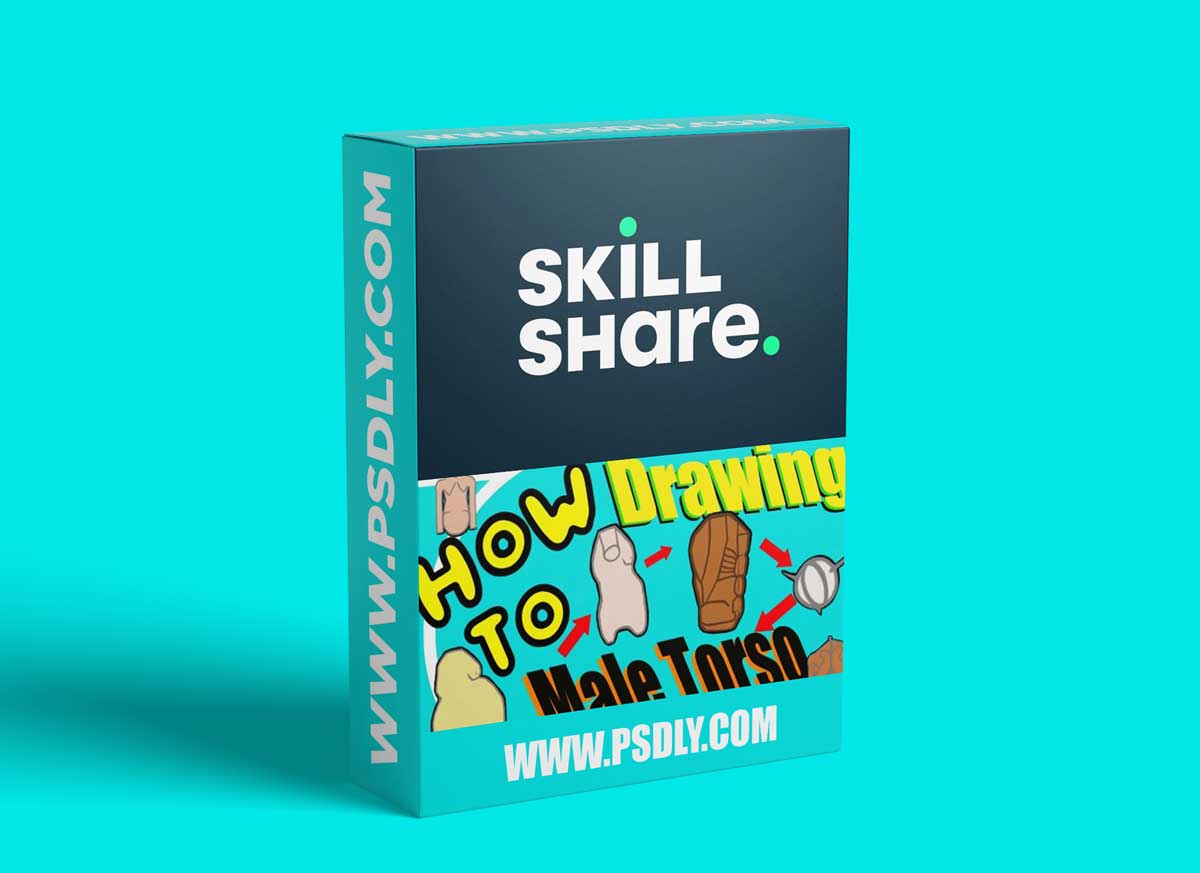 Learn How To Draw a Male Torso (For Artists)