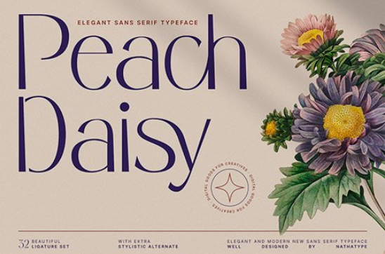 Peach Daisy Sans Serif Font