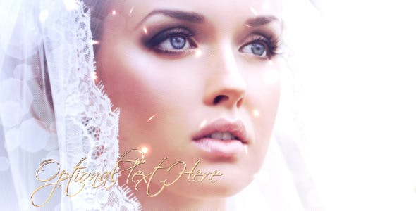Videohive Wedding Day 4055814