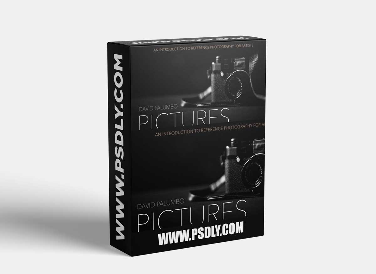 Reference Photography For Artists - David Palumbo