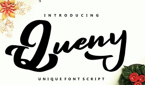 Queny | Unique Font Script