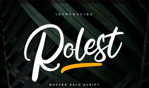 Rolest Modern Bold Script Font