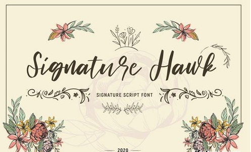 Signature Hawk - Script Font