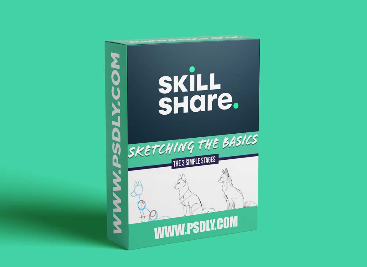 Sketching the Basics: How to Sketch Like a Pro