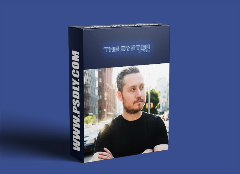 The System With Todd Download