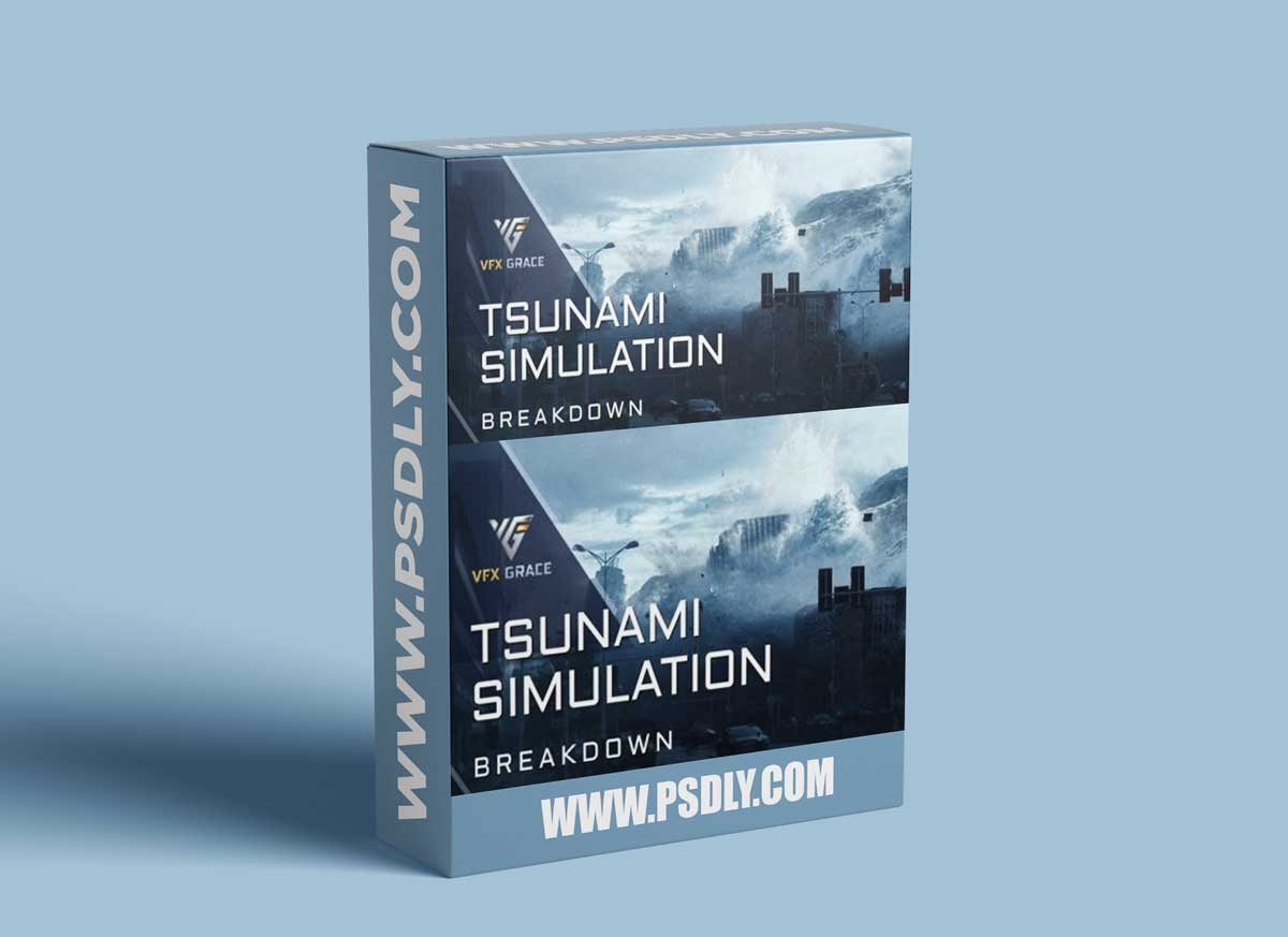 VFX Grace | Advanced Tsunami Simulation