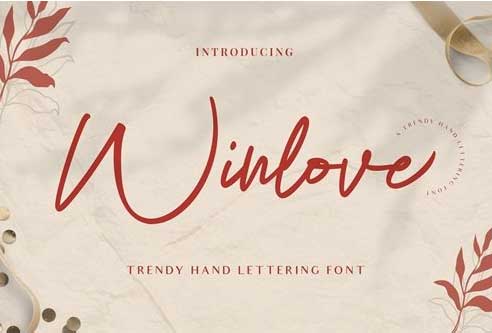 Winlove | Elegant Handwritten Font 5642401