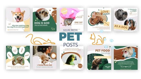 Videohive Social Media Pet Posts 35839370