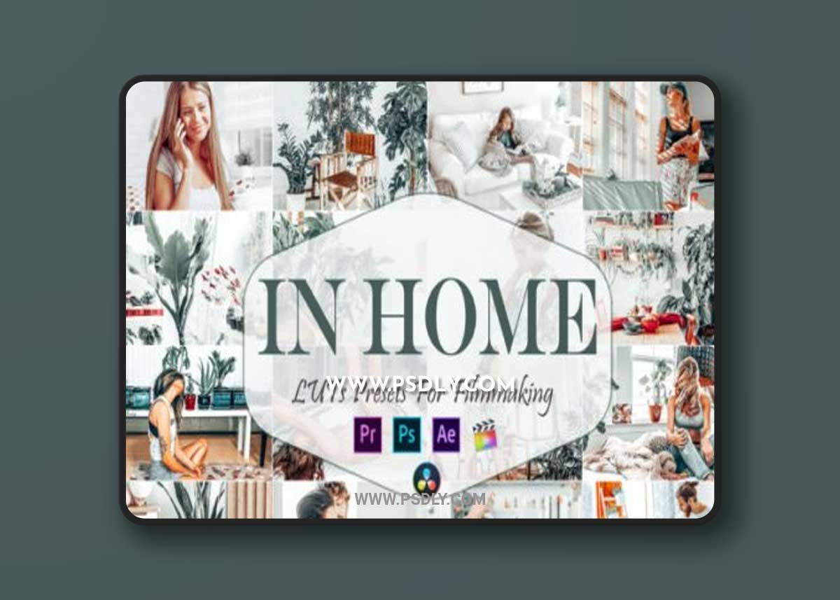 10 in Home Video LUTs Presets