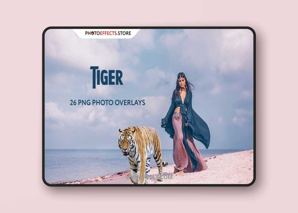 26 Tiger Photo Overlays