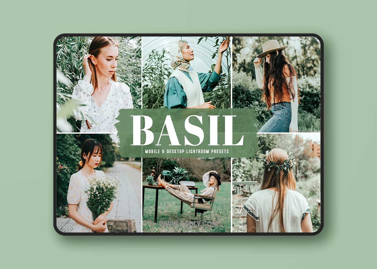 Basil Pro Lightroom Presets