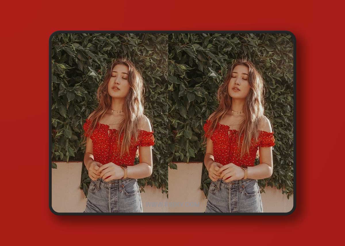 Bestdressed - ARTSY LIGHTROOM PRESETS