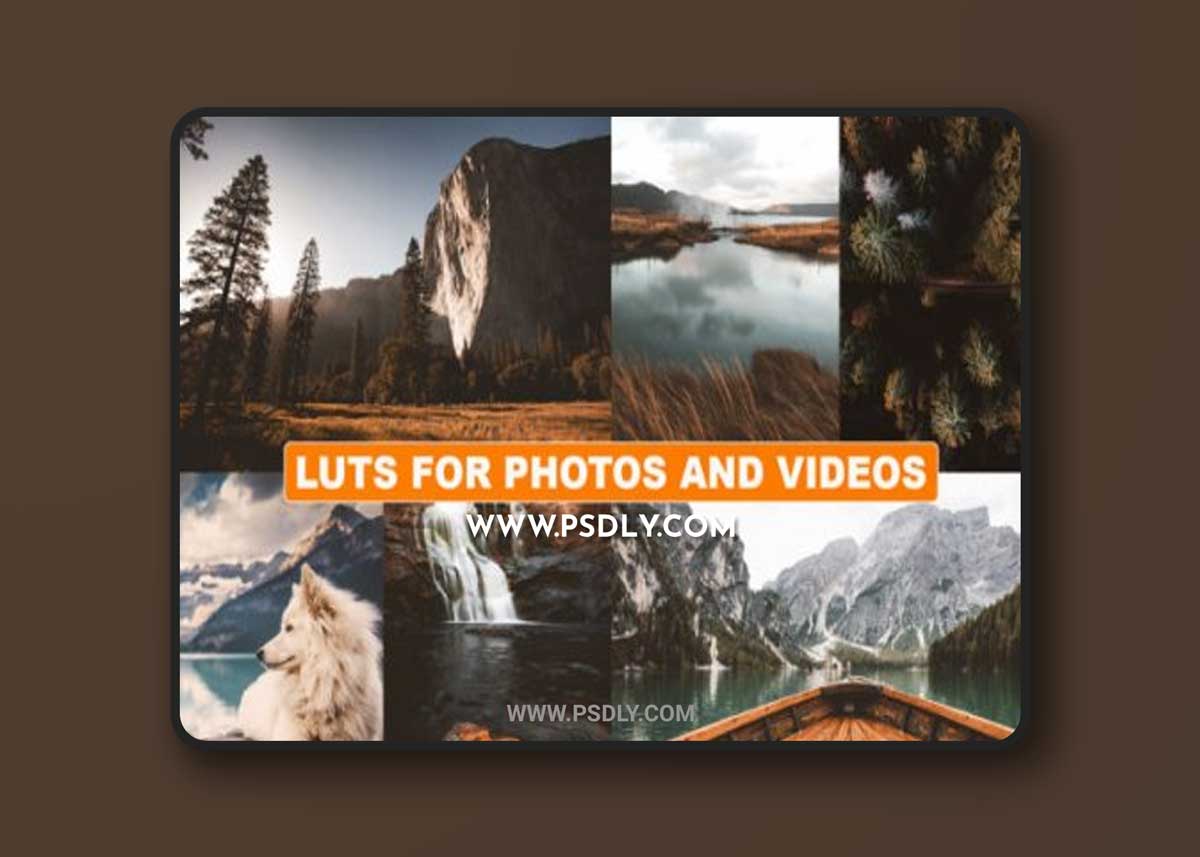 Cinematic LUTs for Photos and Videos