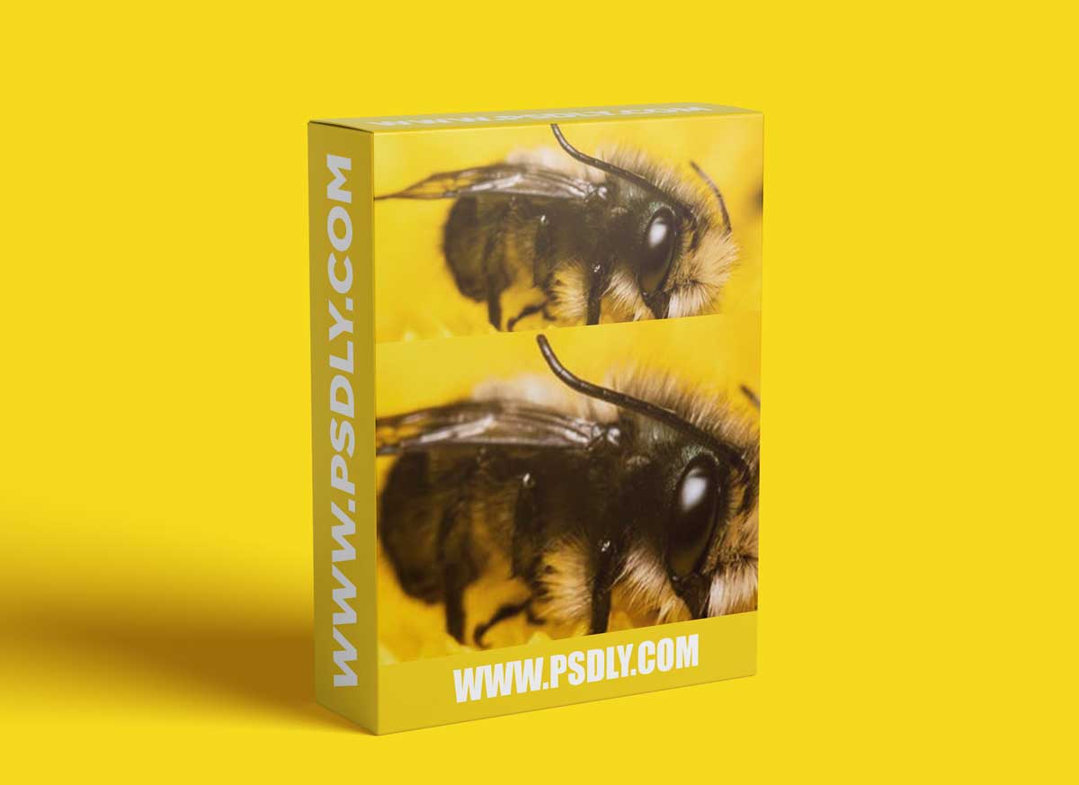 CreativeLive - Introduction to Macro Photography